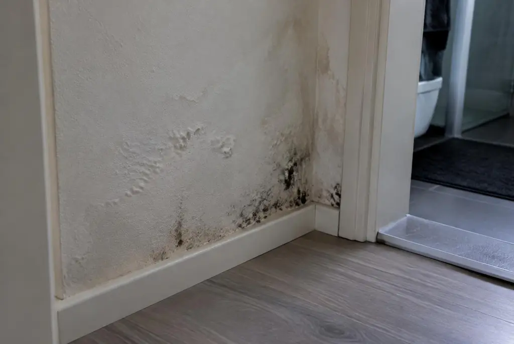 Lekdetectie Bunnik – vochtplek met schimmel op een muur